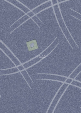 Tarkett Арсенал Savanna 5 фото 1 | FLOORDEALER